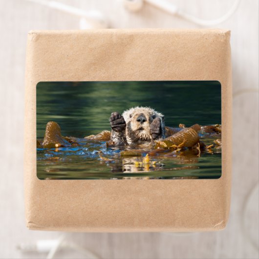 Wellenseeotter (Insitu)