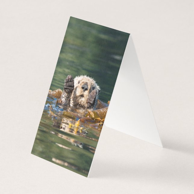 Wellenseeotter (Rückseite)