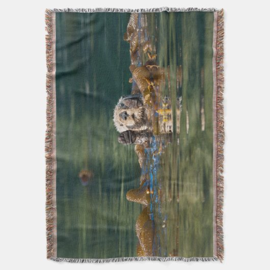 Wellenseeotter Decke (Vorderseite Vertikal)