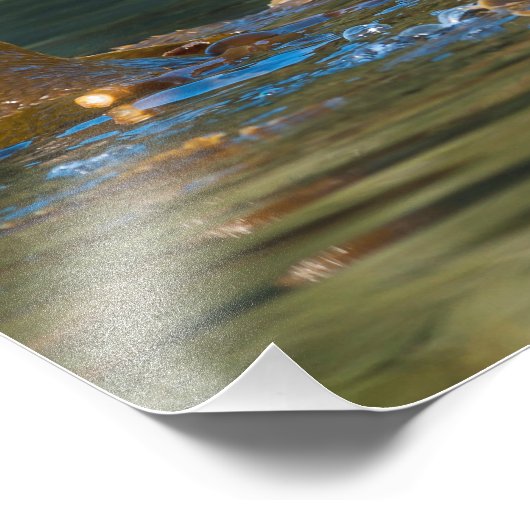 Wellenseeotter Fotodruck (Ecke)