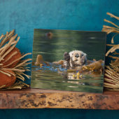 Wellenseeotter Fotoplatte (Seite)