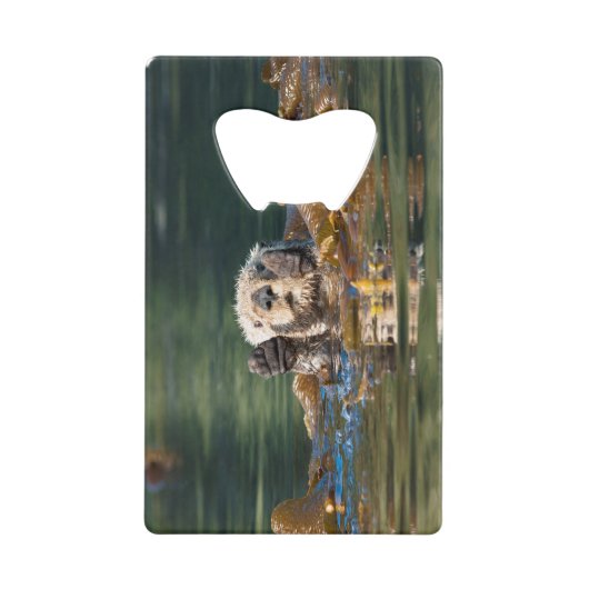 Wellenseeotter Geldbeutel Flaschenöffner (Vorderseite)