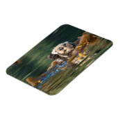 Wellenseeotter Magnet (Linke Seite)