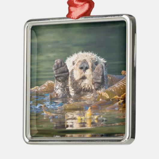 Wellenseeotter Ornament Aus Metall (Links)