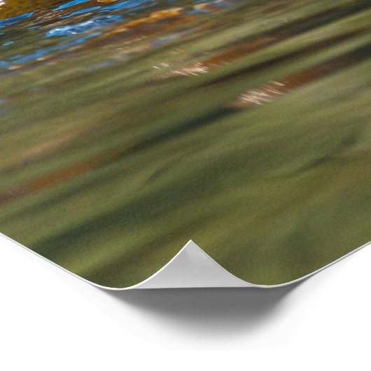 Wellenseeotter Poster (Ecke)