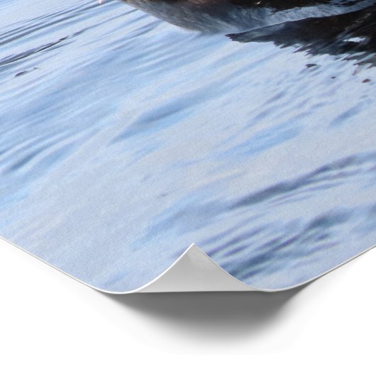 Wellenseeotter Poster (Ecke)