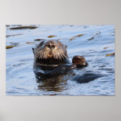 Wellenseeotter Poster (Vorne)