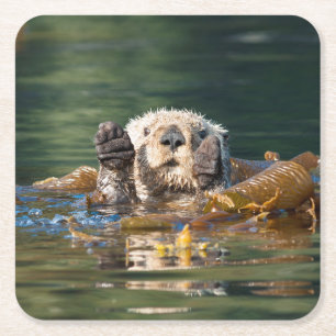 Wellenseeotter Rechteckiger Pappuntersetzer