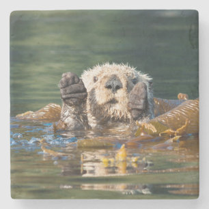 Wellenseeotter Steinuntersetzer