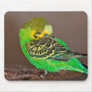 Wellensittich-Mauspad zum Schlummern Mousepad