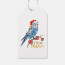 Wellensittich-Weihnachten