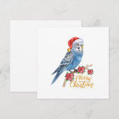 Wellensittich-Weihnachtskarte Feiertagskarte (Vorne/Hinten)