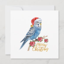 Wellensittich-Weihnachtskarte