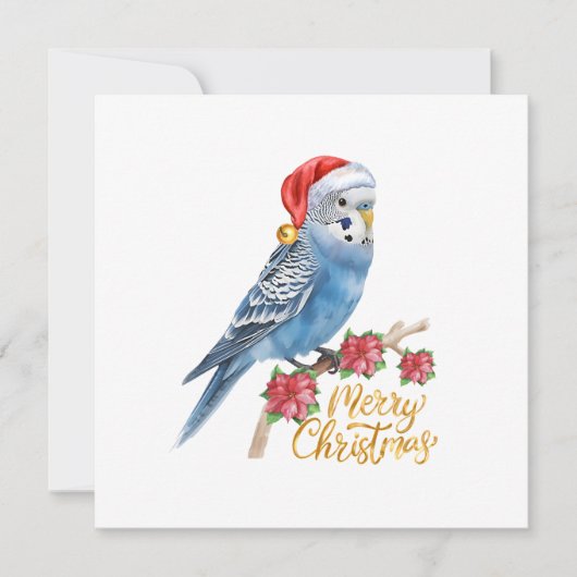 Wellensittich-Weihnachtskarte Feiertagskarte (Vorderseite)