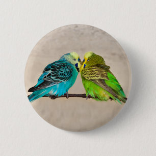 Wellensittiche in Liebe Abzeichen Button