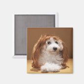 Welliges Tragegerät Magnet (Vorderseite/Rückseite)