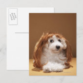 Welliges Tragegerät Postkarte (Vorne/Hinten)