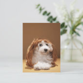 Welliges Tragegerät Postkarte (Stehend Vorderseite)