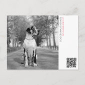 Welligkeitsankündigung Postkarte (Vorderseite)