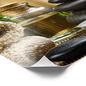 Wellness-Center Day Foto Print (Ecke)