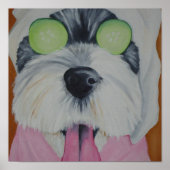 Wellness-Center Dog Poster (Vorne)