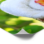 WELLNESS-CENTER-Einstellungen Poster (Ecke)