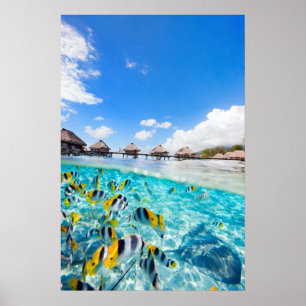 WELLNESS-CENTER POSTER