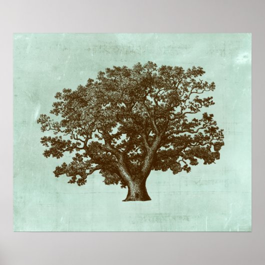 Wellness-Center Tree IV Poster (Vorne)