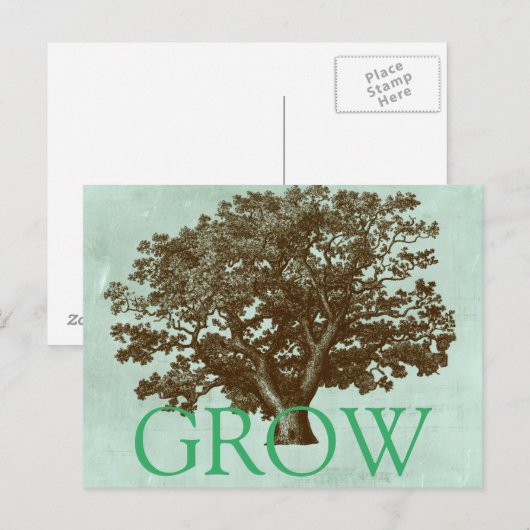 Wellness-Center Tree IV Postkarte (Vorne/Hinten)