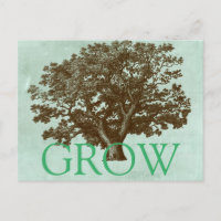 Wellness-Center Tree IV