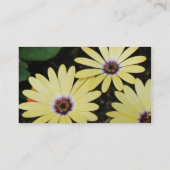 Wellness-Center - Visitenkarte (Rückseite)