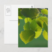 Wellness Postkarte (Vorne/Hinten)