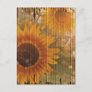 Wellpappe Bohemiangelbe Gelbe Sonnenblume Postkarte