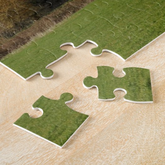 Wells Somerset UK Die gotische Wells Kathedrale. Puzzle (Seite)