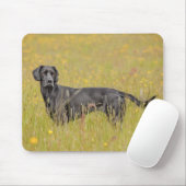 Welpe, 16 Monate Mousepad (Mit Mouse)