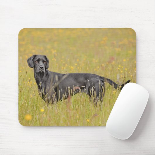 Welpe, 16 Monate Mousepad (Mit Mouse)