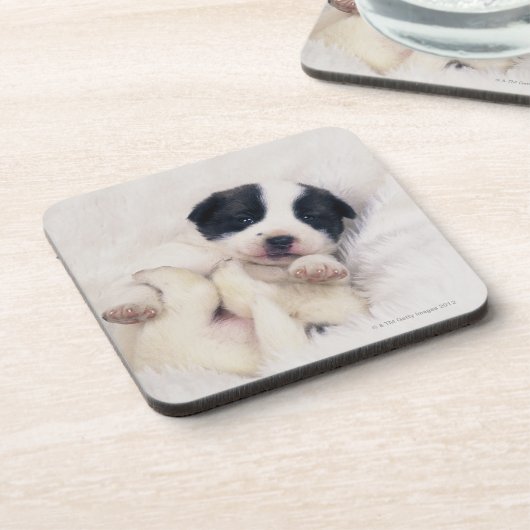 Welpe 2 getränkeuntersetzer (Linke Seite)