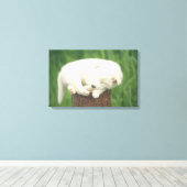 Welpe 2 leinwanddruck (Insitu (Holzboden))