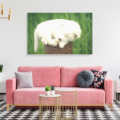 Welpe 2 leinwanddruck (Insitu (Wohnzimmer))