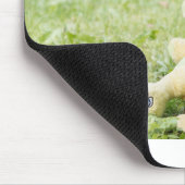 Welpe 2 mini Schnauzer Mousepad (Ecke)