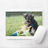 Welpe 2 mini Schnauzer Mousepad (Mit Mouse)