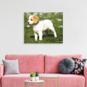 Welpe 3 leinwanddruck (Insitu (Wohnzimmer))