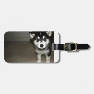 Welpe 3.png des alaskischen Malamute Gepäckanhänger