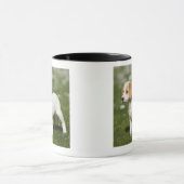 Welpe 3 tasse (Zentrum)