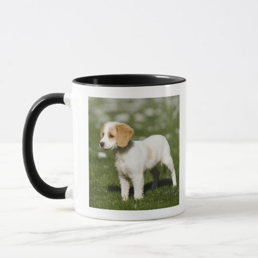 Welpe 3 tasse (Links)