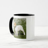 Welpe 3 tasse (Vorderseite Links)