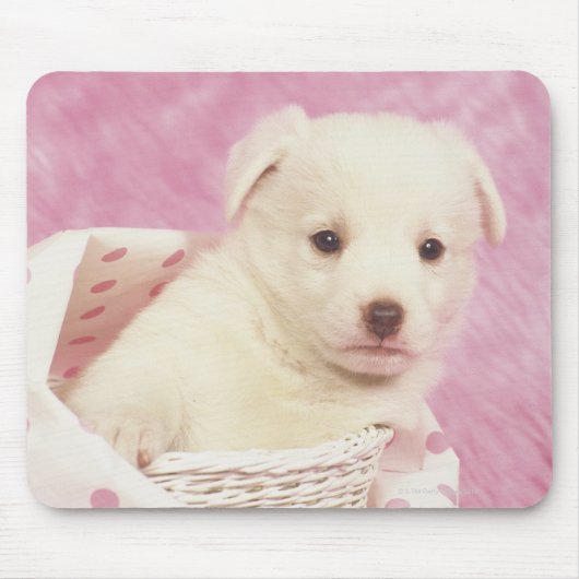 Welpe 5 mousepad (Vorne)