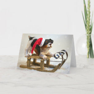 Welpe auf Schlitten Feiertagskarte