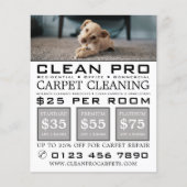 Welpe auf Teppich, Teppichreiniger, Reinigungsserv Flyer (Vorne)