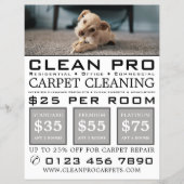 Welpe auf Teppich, Teppichreiniger, Reinigungsserv Flyer (Vorne)